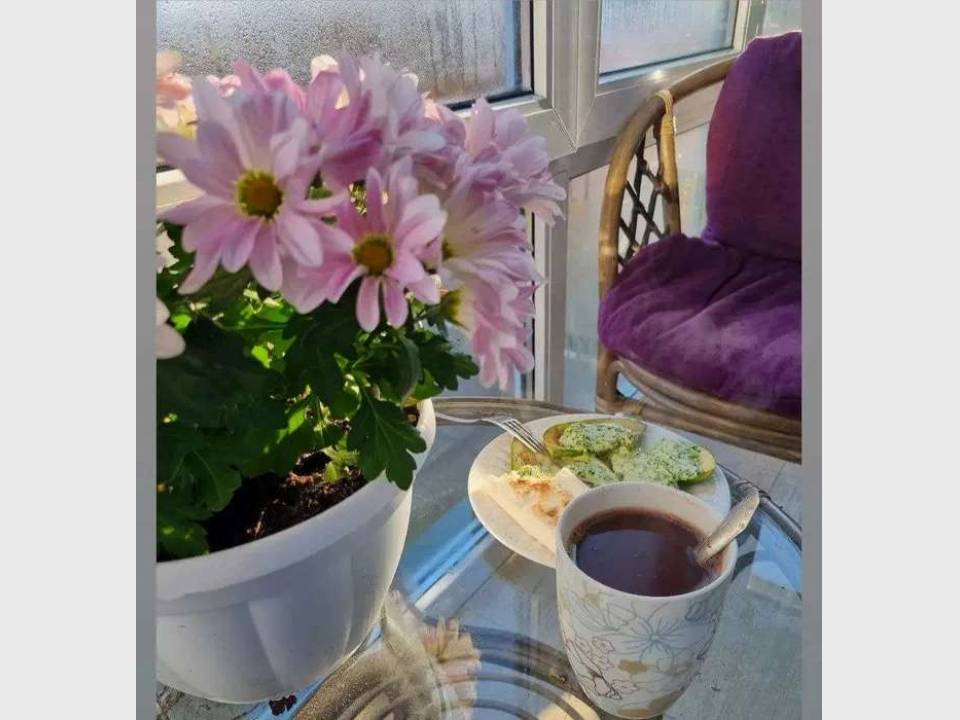 WebWizard CRM Real Estate